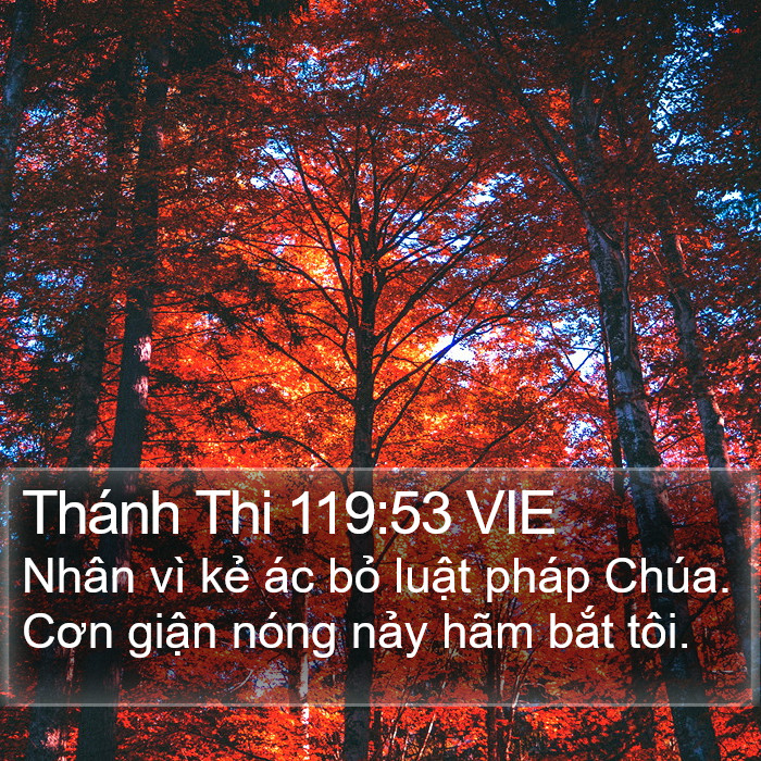 Thánh Thi 119:53 VIE Bible Study