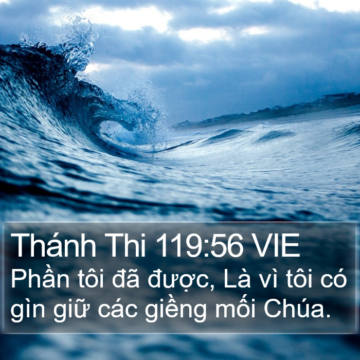 Thánh Thi 119:56 VIE Bible Study