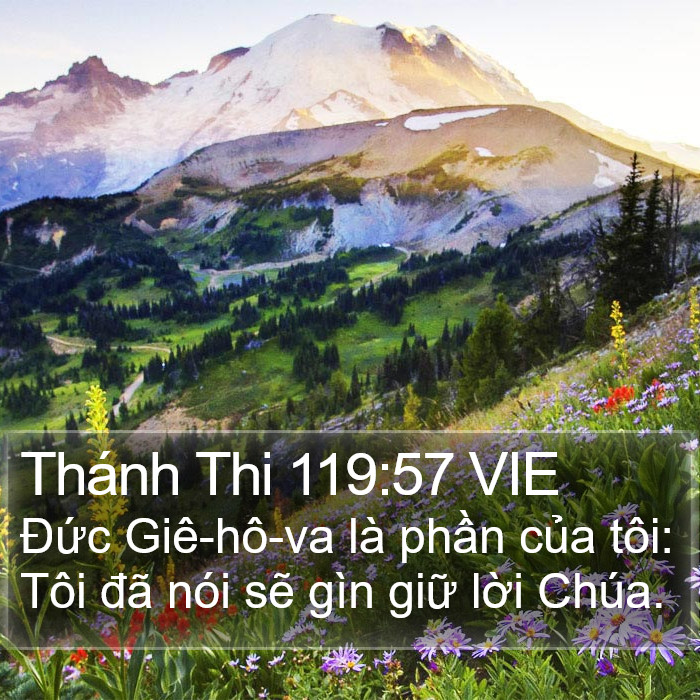Thánh Thi 119:57 VIE Bible Study