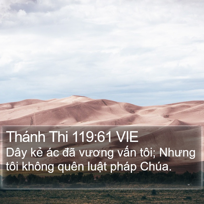 Thánh Thi 119:61 VIE Bible Study