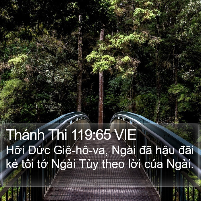 Thánh Thi 119:65 VIE Bible Study