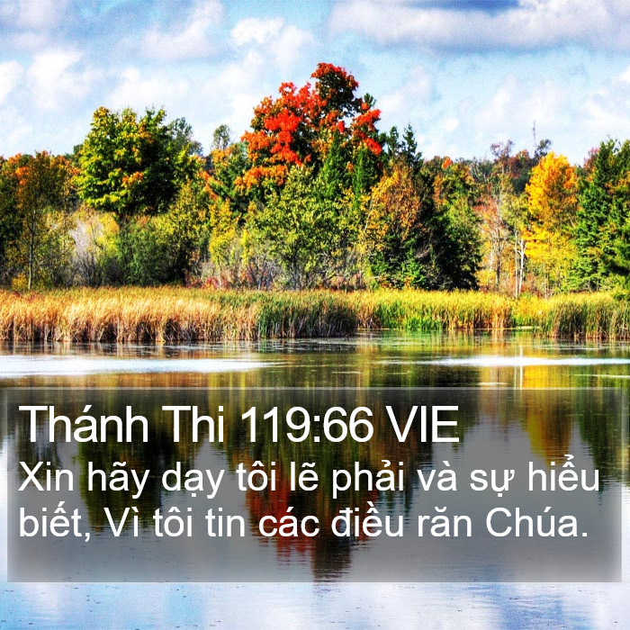 Thánh Thi 119:66 VIE Bible Study