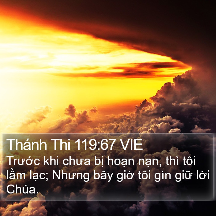 Thánh Thi 119:67 VIE Bible Study