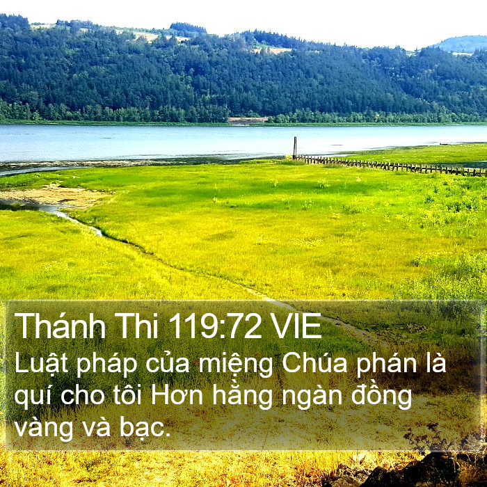 Thánh Thi 119:72 VIE Bible Study