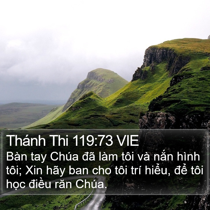 Thánh Thi 119:73 VIE Bible Study