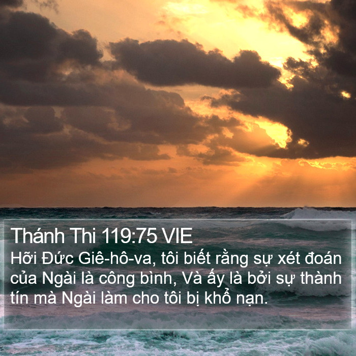 Thánh Thi 119:75 VIE Bible Study
