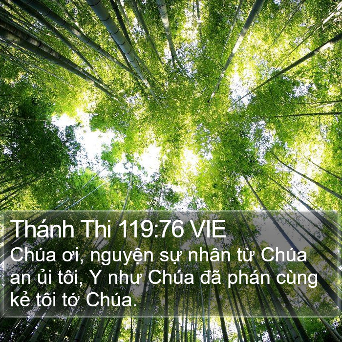 Thánh Thi 119:76 VIE Bible Study