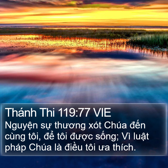 Thánh Thi 119:77 VIE Bible Study