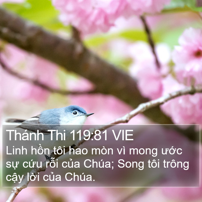Thánh Thi 119:81 VIE Bible Study