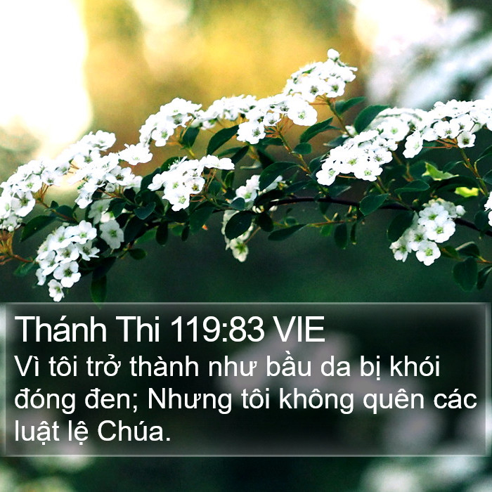 Thánh Thi 119:83 VIE Bible Study