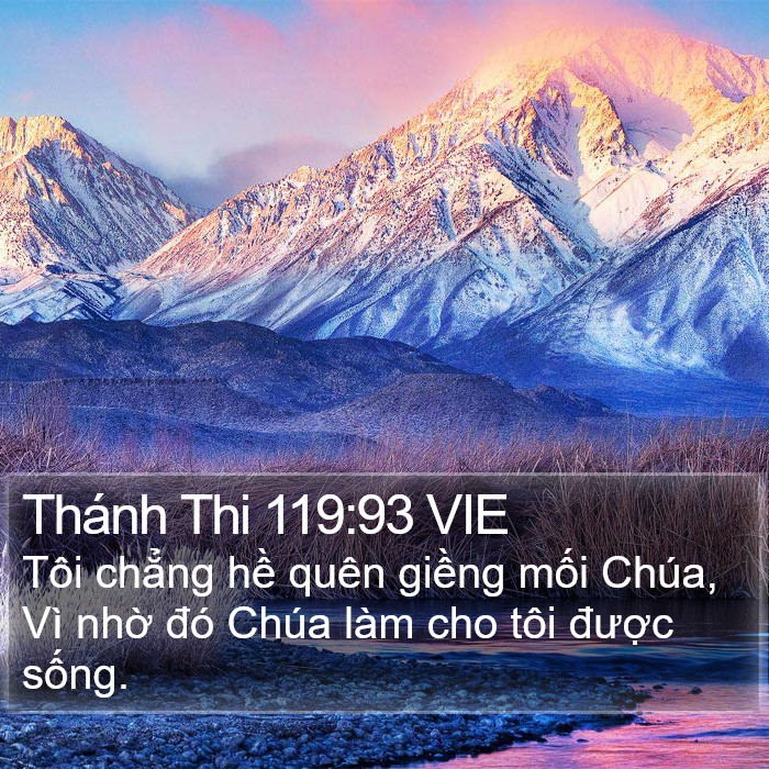 Thánh Thi 119:93 VIE Bible Study