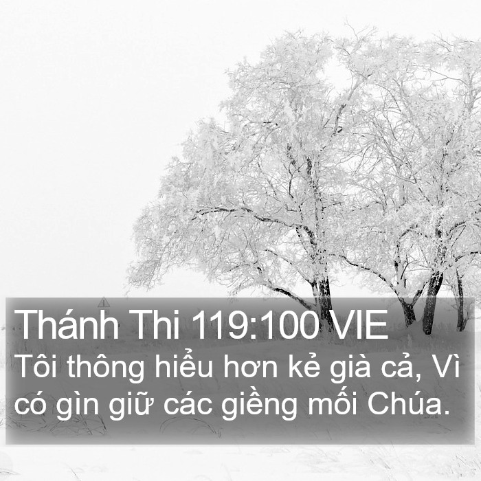 Thánh Thi 119:100 VIE Bible Study
