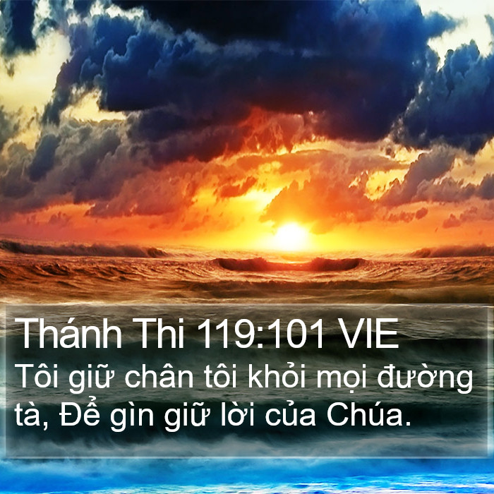 Thánh Thi 119:101 VIE Bible Study