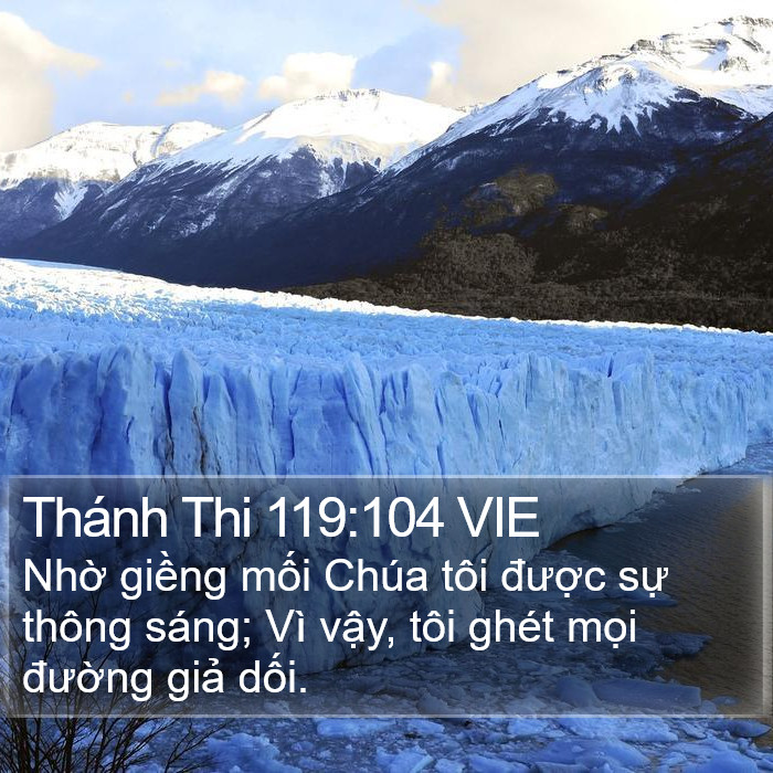 Thánh Thi 119:104 VIE Bible Study