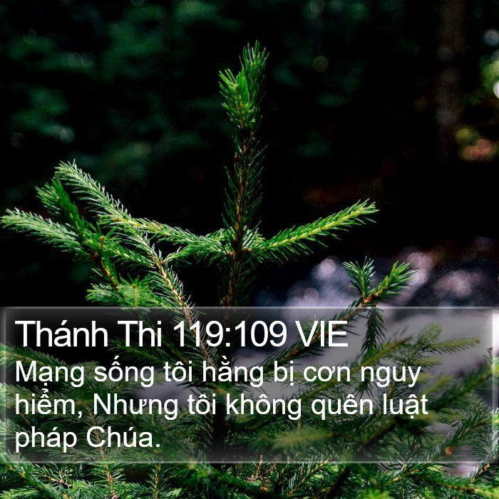 Thánh Thi 119:109 VIE Bible Study