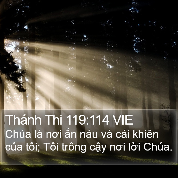 Thánh Thi 119:114 VIE Bible Study