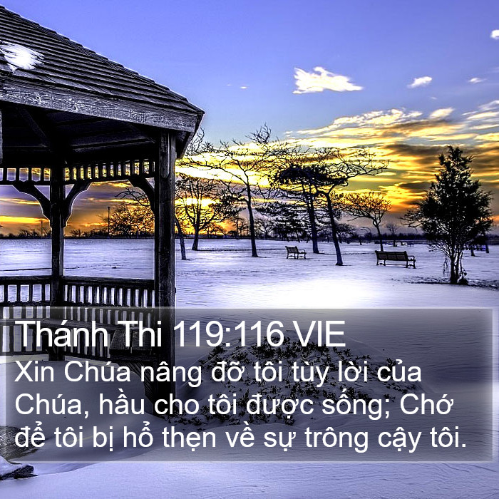 Thánh Thi 119:116 VIE Bible Study