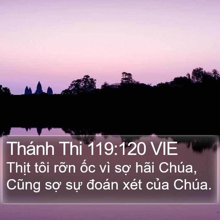 Thánh Thi 119:120 VIE Bible Study