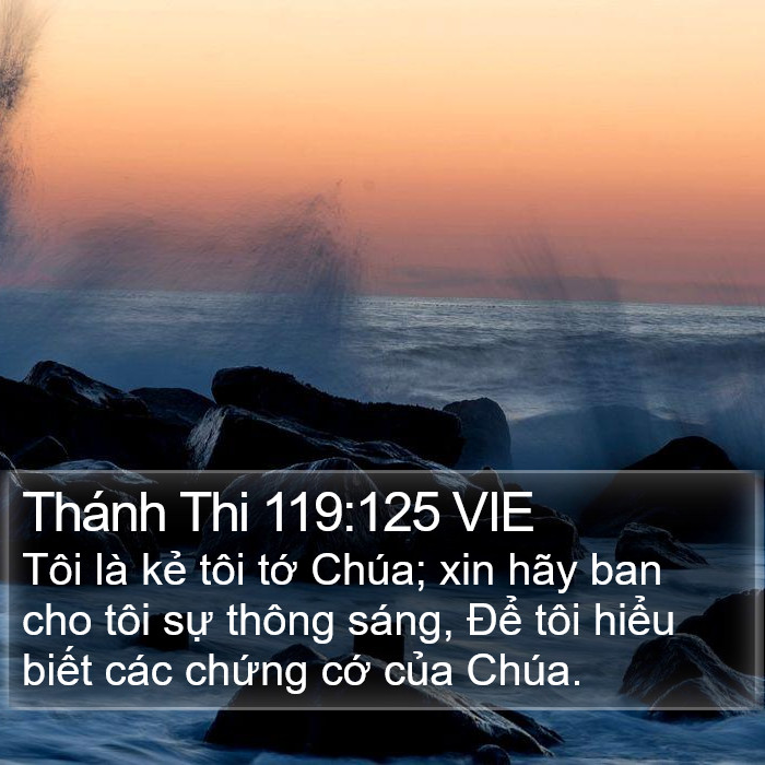 Thánh Thi 119:125 VIE Bible Study