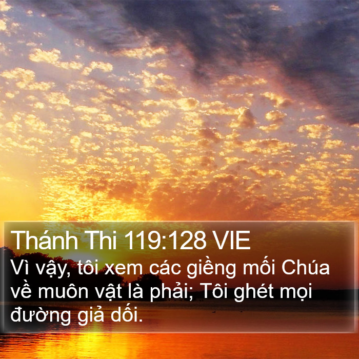 Thánh Thi 119:128 VIE Bible Study