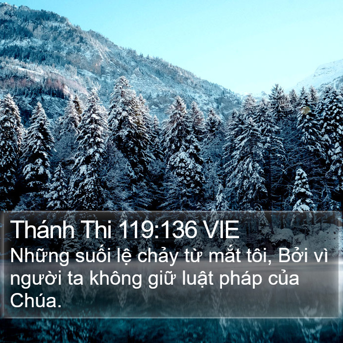 Thánh Thi 119:136 VIE Bible Study