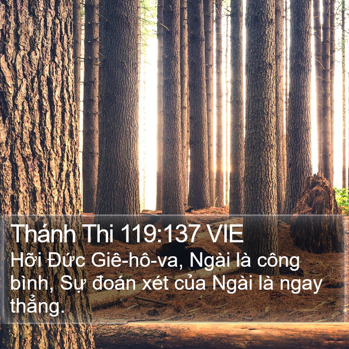 Thánh Thi 119:137 VIE Bible Study