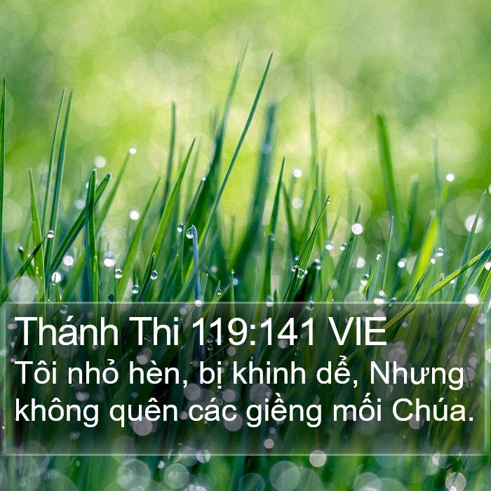 Thánh Thi 119:141 VIE Bible Study