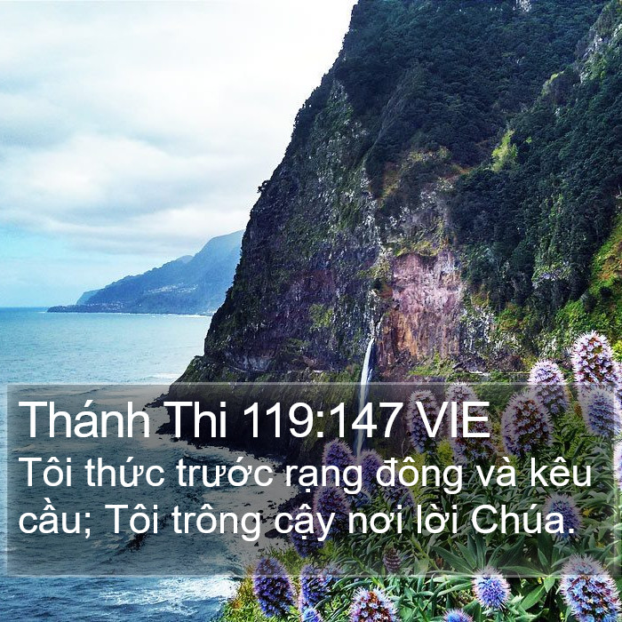 Thánh Thi 119:147 VIE Bible Study