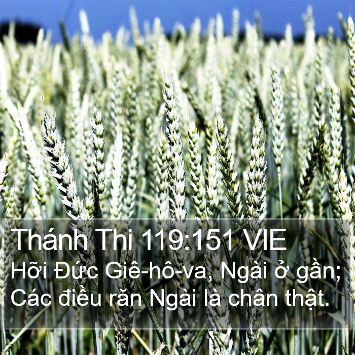 Thánh Thi 119:151 VIE Bible Study