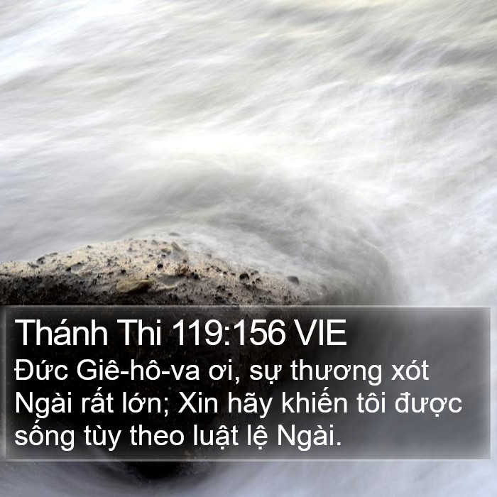 Thánh Thi 119:156 VIE Bible Study