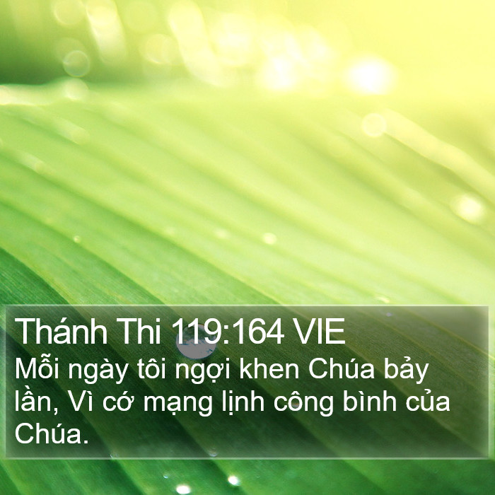 Thánh Thi 119:164 VIE Bible Study