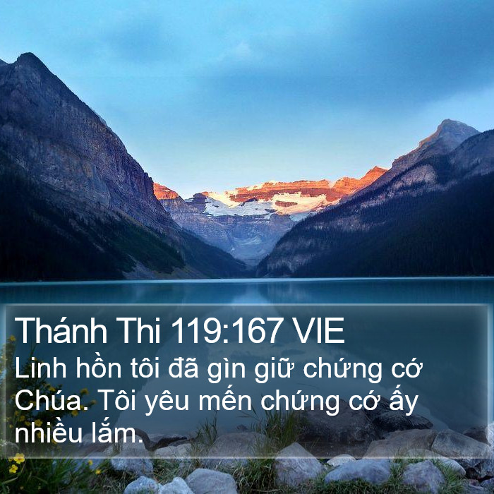 Thánh Thi 119:167 VIE Bible Study