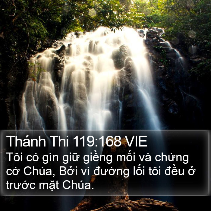 Thánh Thi 119:168 VIE Bible Study