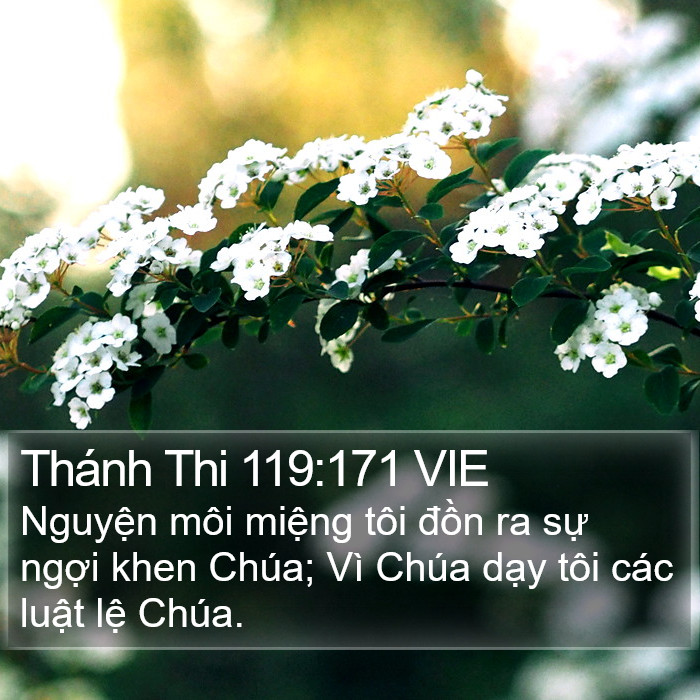 Thánh Thi 119:171 VIE Bible Study