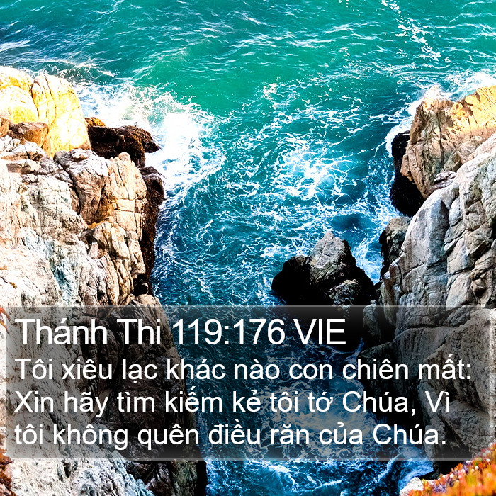 Thánh Thi 119:176 VIE Bible Study