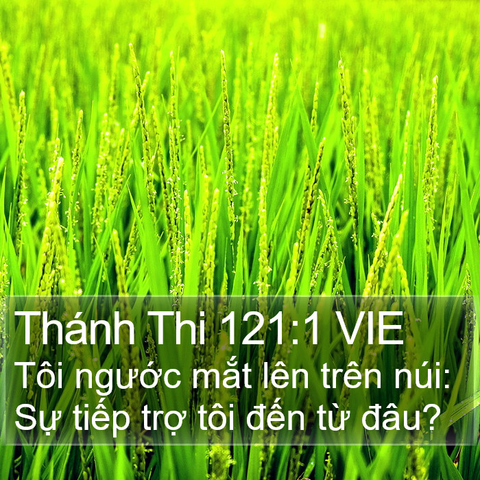 Thánh Thi 121:1 VIE Bible Study