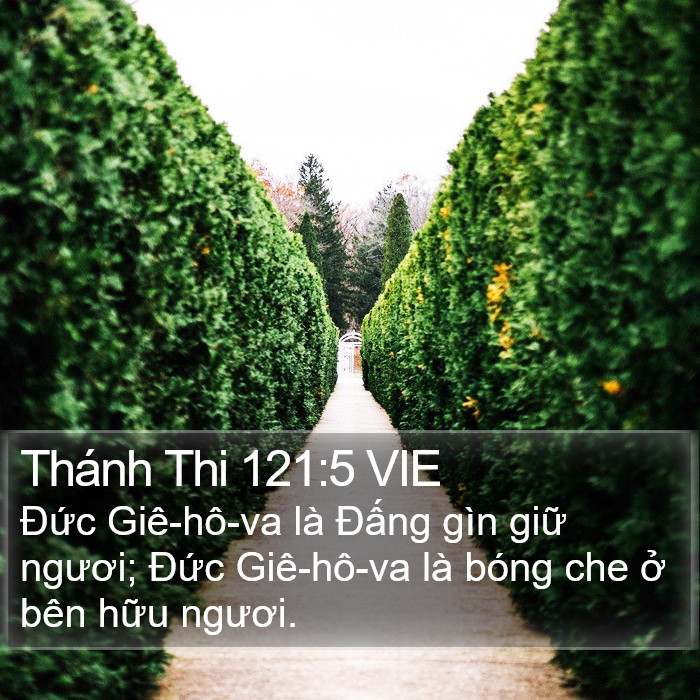 Thánh Thi 121:5 VIE Bible Study