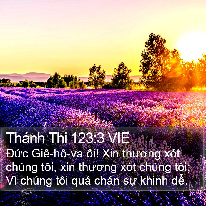 Thánh Thi 123:3 VIE Bible Study