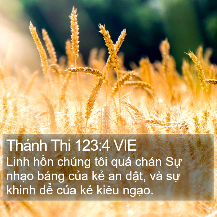 Thánh Thi 123:4 VIE Bible Study