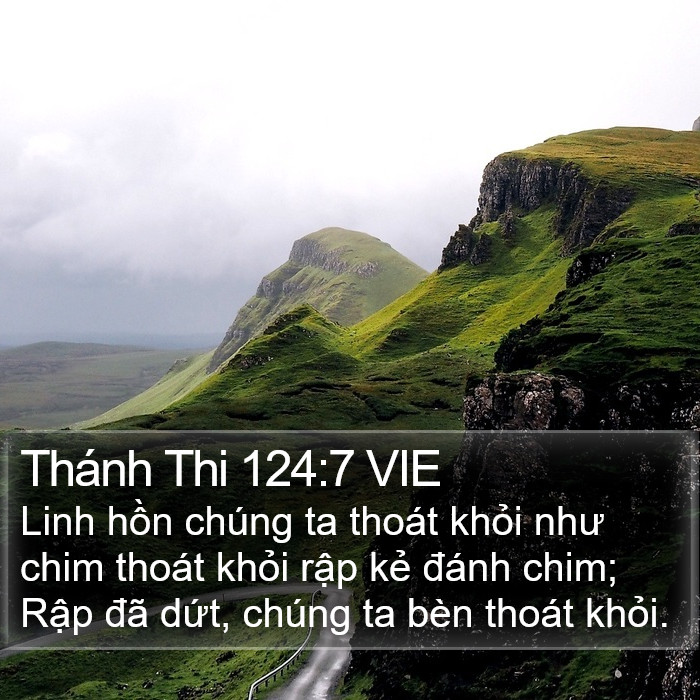 Thánh Thi 124:7 VIE Bible Study