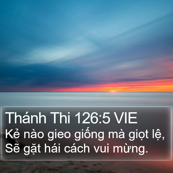 Thánh Thi 126:5 VIE Bible Study