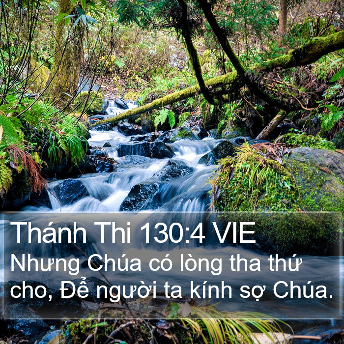 Thánh Thi 130:4 VIE Bible Study