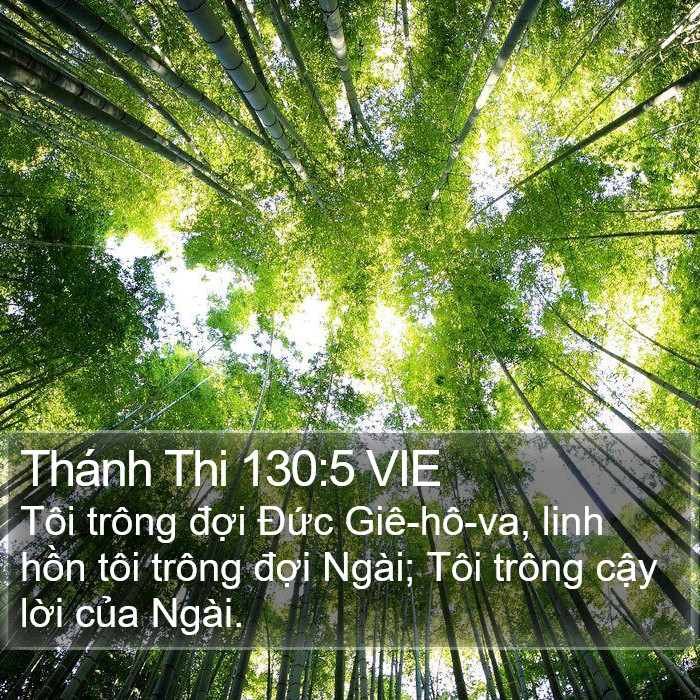 Thánh Thi 130:5 VIE Bible Study