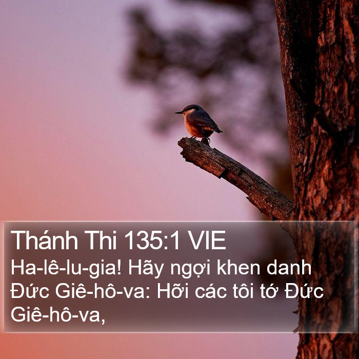 Thánh Thi 135:1 VIE Bible Study