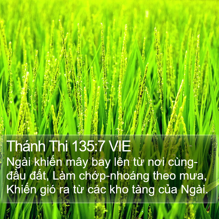 Thánh Thi 135:7 VIE Bible Study
