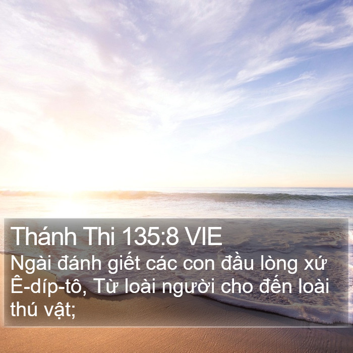 Thánh Thi 135:8 VIE Bible Study