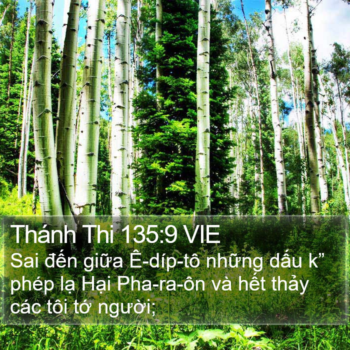 Thánh Thi 135:9 VIE Bible Study