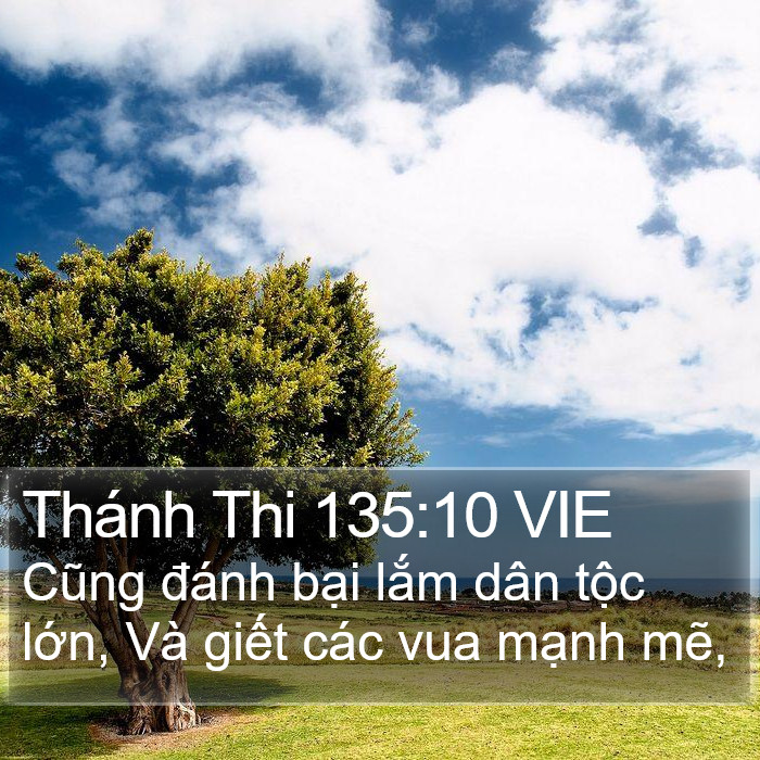 Thánh Thi 135:10 VIE Bible Study