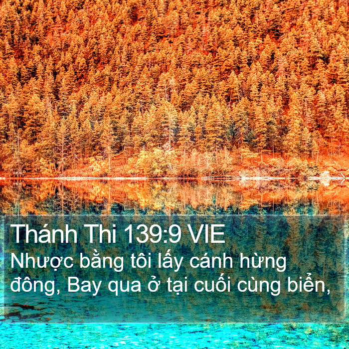 Thánh Thi 139:9 VIE Bible Study
