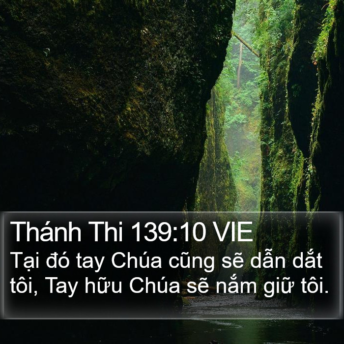 Thánh Thi 139:10 VIE Bible Study
